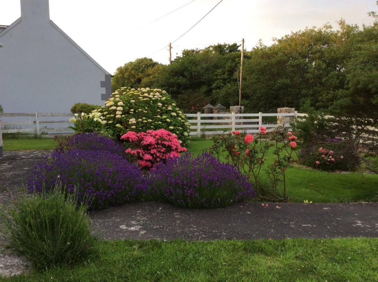 Kings Accommodation Donegal Town Luaran gambar
